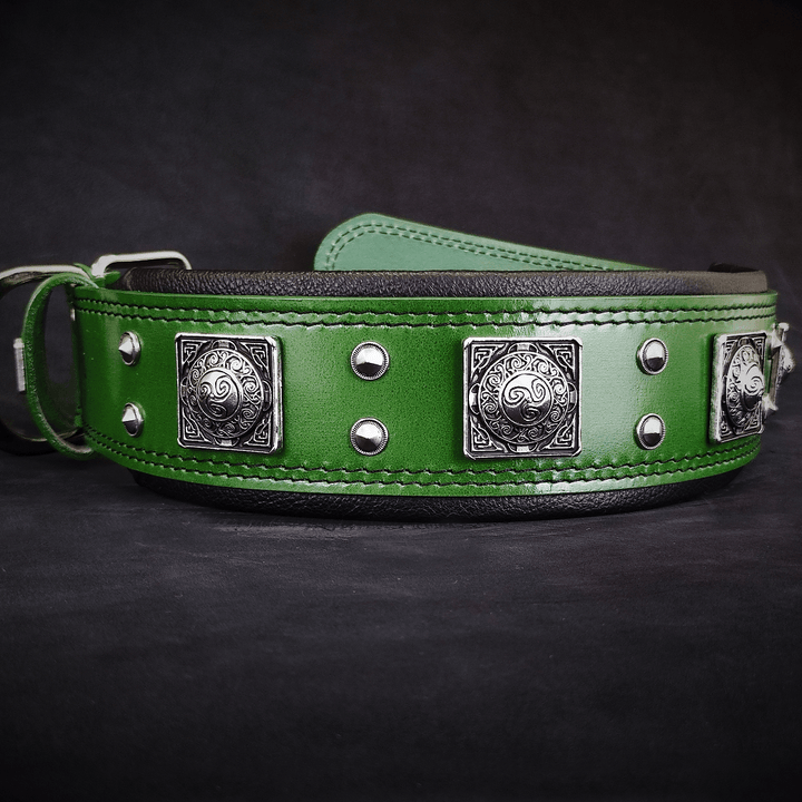 Dog Collars