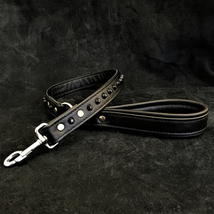 Dog Leashes