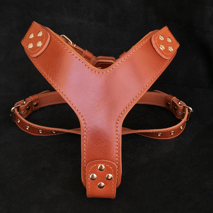 Dog Harnesses