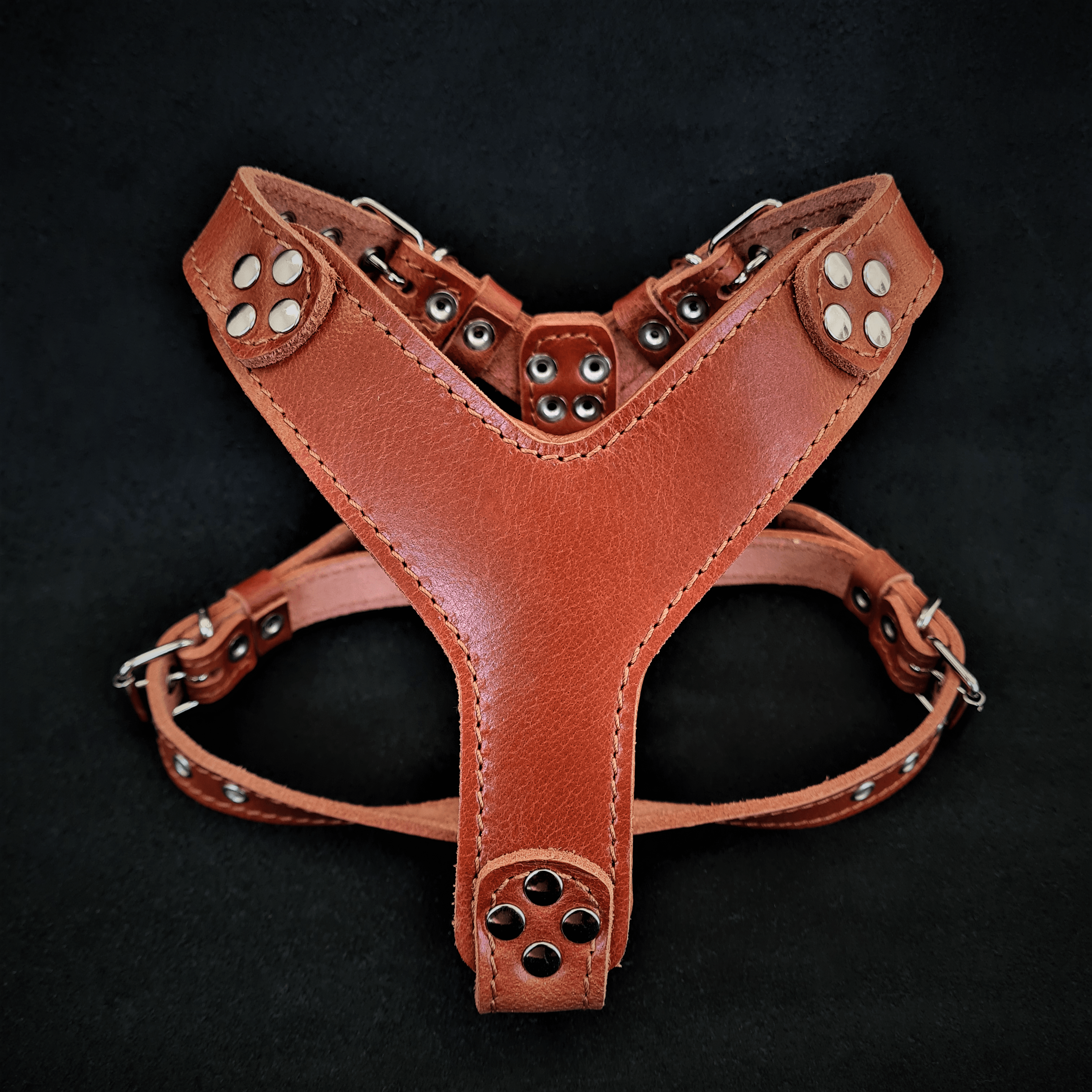 Bestia Style Leather Dog Harness – Brown, Frenchie Fit